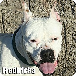 Thumbnail photo of Fredericka #1