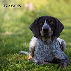 Photo of Kason