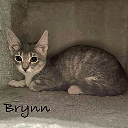 Photo of Brynn