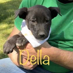 Thumbnail photo of Della #1