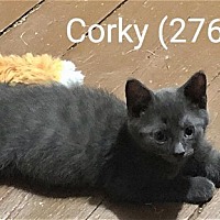 Photo of Foster Corky