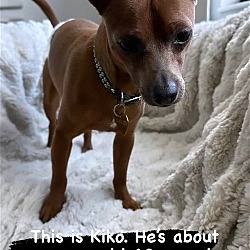 Thumbnail photo of Kiko #2