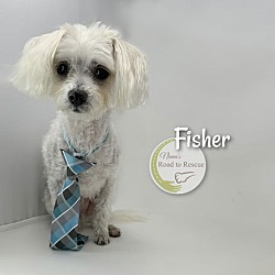 Thumbnail photo of Fisher #1