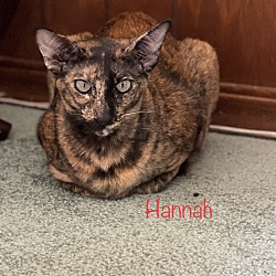 Photo of Hannah