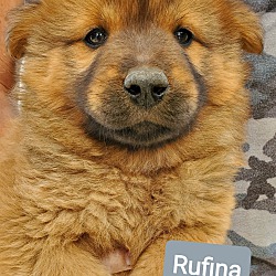 Photo of Rufina