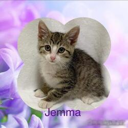 Photo of Jemma