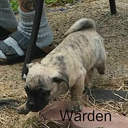 Thumbnail photo of Warden #1