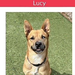 Thumbnail photo of Lucy #3