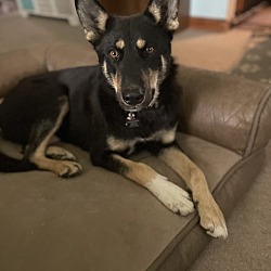 Photo of Basil