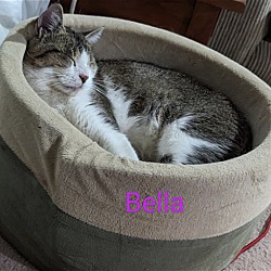 Thumbnail photo of Bella Bella #2