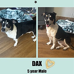 Thumbnail photo of DAX - 5 YR SWISS MTN #1