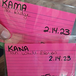 Thumbnail photo of Kana & Kama #4