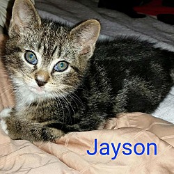 Photo of Jayson