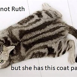 Thumbnail photo of Ruth #2