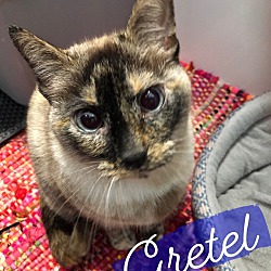 Photo of Gretel