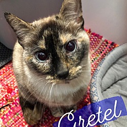 Thumbnail photo of Gretel #1