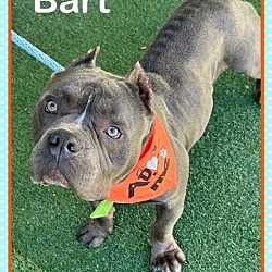 Thumbnail photo of BART #4