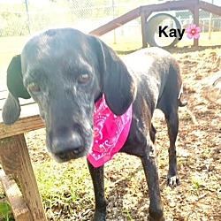 Thumbnail photo of Kay #4