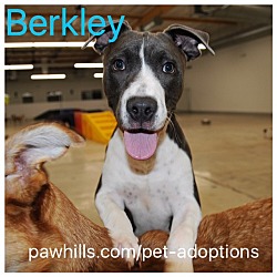 Thumbnail photo of Berkley #1