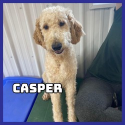 Photo of Casper