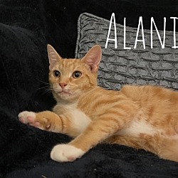 Photo of Alani