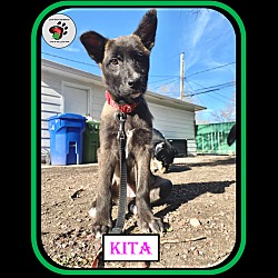 Thumbnail photo of Kita #3