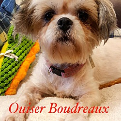 Photo of Ouiser Boudreaux