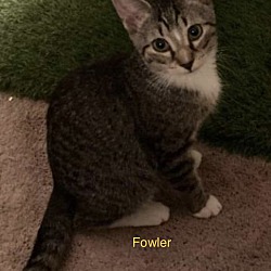Photo of Fowler