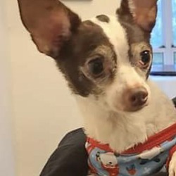 Photo of Sugar