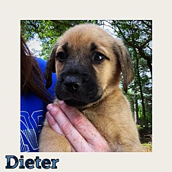 Thumbnail photo of Dieter #2