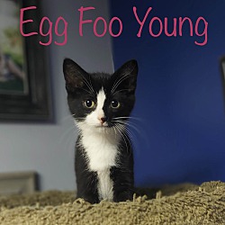 Photo of Egg Foo Young