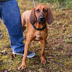 Photo of GERTY-28229