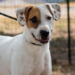 Photo of Wishbone JuM
