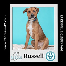 Thumbnail photo of Russell (Dream House Duo) 041523 #1
