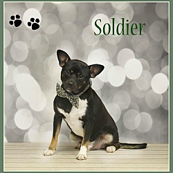 Thumbnail photo of Soldier #1