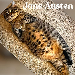Thumbnail photo of Jane Austen #2