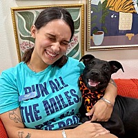 adopt a pet
