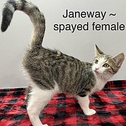 Thumbnail photo of Janeway #2