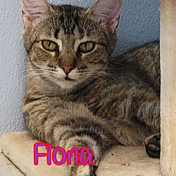 Thumbnail photo of Fiona #4