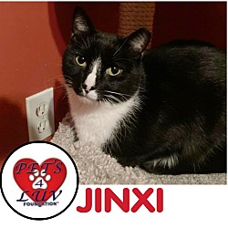 Photo of Jinxi