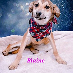 Thumbnail photo of Blaine #2