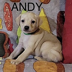 Photo of andy
