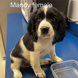 Photo of Lil mandy