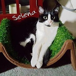 Thumbnail photo of Selena #1