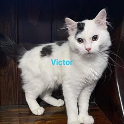 Photo of Victor