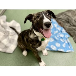 Photo of CHANCE