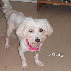 Thumbnail photo of Bethany (TN) #2
