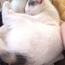 Photo of Freddy/Hubert