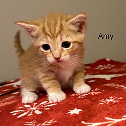 Thumbnail photo of Amy March #2