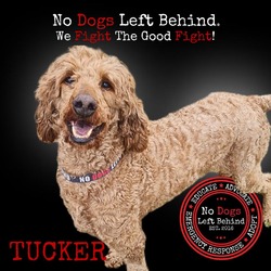 Thumbnail photo of Tucker 7395 #1